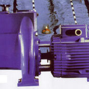 Calpeda NMP commercial swimming pool Pump